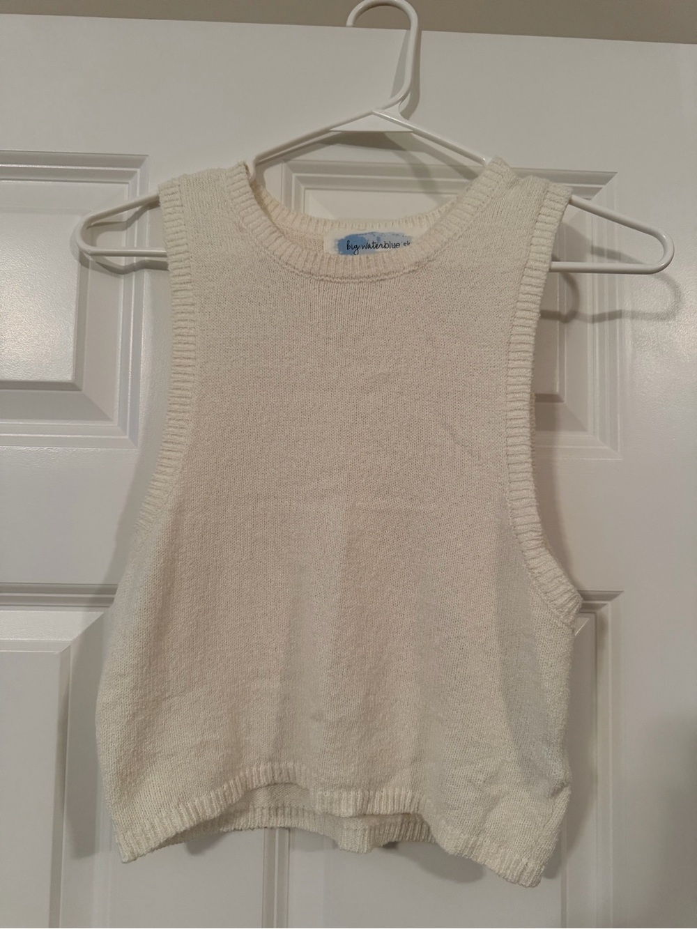 Lizard Thicket Cream Knit Sleeveless Tank